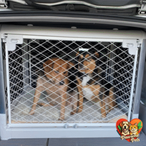 DIGGS Revol Portable Dog Crate - Collapsible Travel Kennel with Wheels