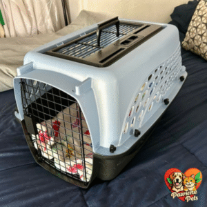 Petmate Outdoor Dog Crate - Blue, 24 inches, Two-Door Plastic Kennel
