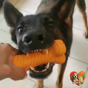 The Animal Kingdom Dual Layer Bone Chew Toy - Peanut Butter Scented Durable Rubber Dog Toy for Large Dogs, Outdoor Play