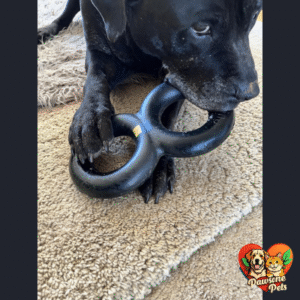 GoughNuts Virtually Indestructible Pull Toy - Large, Heavy Duty Tug Dog Toy for Aggressive Chewers, Indoor Play