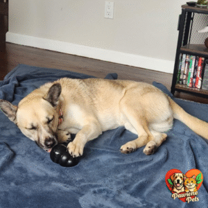 KONG Extreme Dog Toy - Durable Rubber Fetch & Chew Toy with Treat-Filling Capabilities