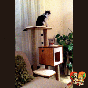 Vesper Cat Tree for Home - High Base Oak, Modern Cat Furniture