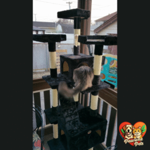 Go Pet Club 72" Tall Cat Tree Tower for Home - Black, Indoor Cat Furniture