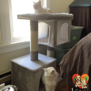 Feandrea Outdoor Cat Tree - Weather-Resistant Cat Tower for Large Cats