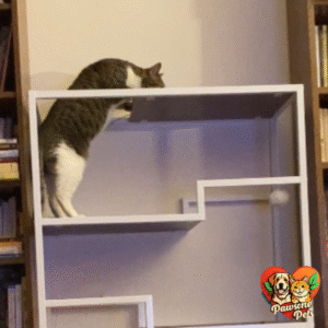 THE REFINED FELINE Indoor Cat Tree for Home - White Metal Frame, Multi-Level Cat Condo