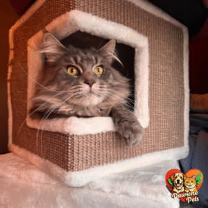 TRIXIE Lilo Indoor Cat Condo - 3-Story Brown Cat Tower