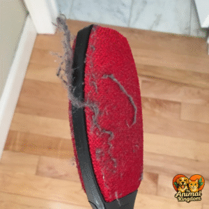 Evercare Magic Lint Remover Brush being used to remove lint and pet hair from clothes and furniture at home