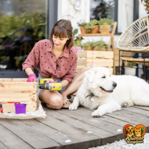 Best materials for dog crates, durability and safety