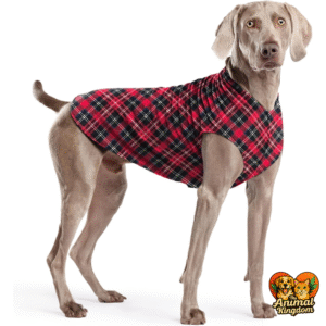 The Animal Kingdom's Goldpaw Stretch Fleece Dog Coat for keeping dogs warm and cozy