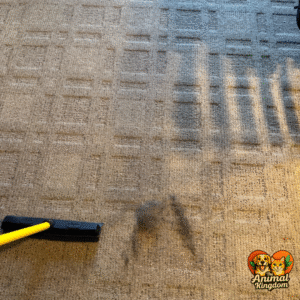 Furemover broom being used to remove pet hair from carpet at home