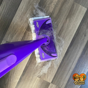 Swiffer Sweeper Pet Heavy Duty Dry Cloths being used to remove pet hair from hardwood floor at home
