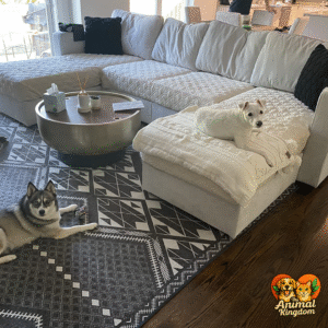 Cozy pet hair-resistant throw blanket for home