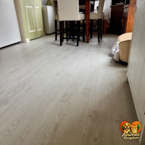 Pet-friendly vinyl flooring for homes