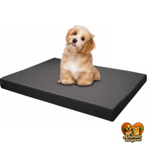 Commercial dog bed for pet-friendly businesses
