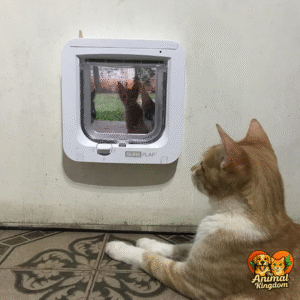 SureFlap Microchip Cat Flap - a smart pet door that scans pet's ID on entry