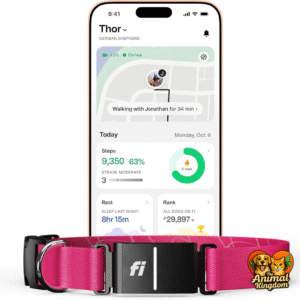 Fi Series 3+ Smart Dog Tracker Collar for outdoor adventures with GPS tracking and health monitoring
