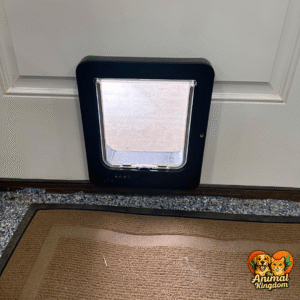 Smart cat door with microchip reader, remote control, and 3 collar sensor keys