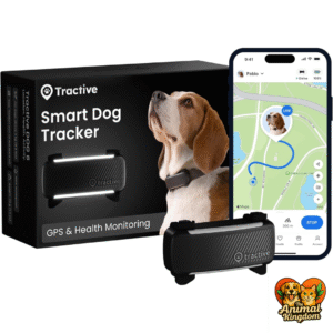 Tractive GPS tracker for dogs with live tracking, virtual fence, and activity monitoring