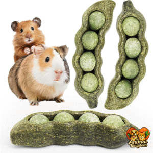 Natural guinea pig chew toys made from vegetables and timothy grass