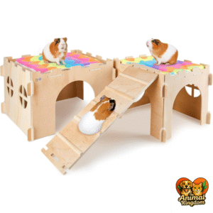 Guinea pig hideout with stairs, mats, and multiple doors/windows