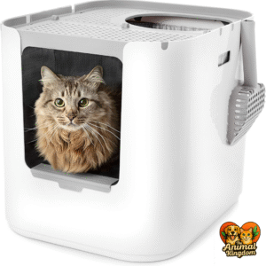 Modkat XL Commercial Litter Box - Configurable Top or Front Entry, Seamless Base, Reusable Liners - White