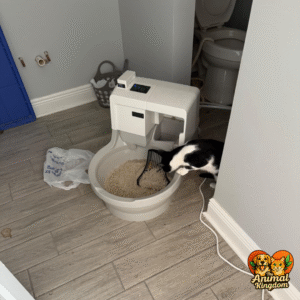 CatGenie A.I. Self-Cleaning, Fully-Flushing Automatic Cat Litter Box - White with Black Accents